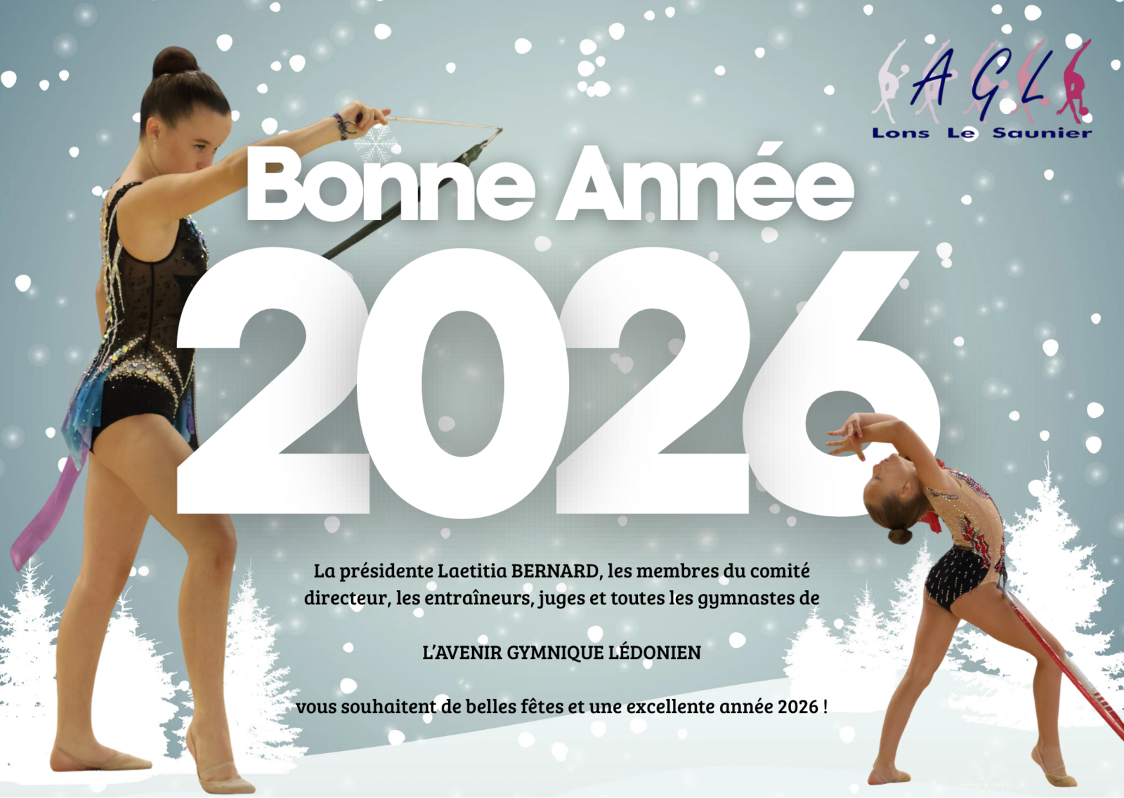 Bonne Année 2026 !