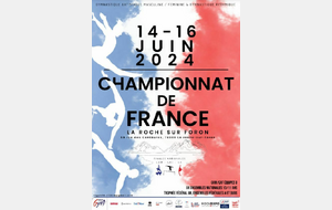 Championnat de France Ensembles TFA