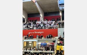 Championnat Interdépartemental TFA, Régionales