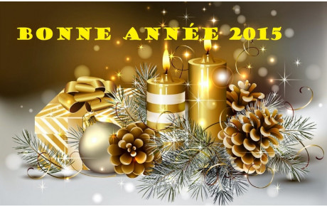 Bonne Année 2015 !