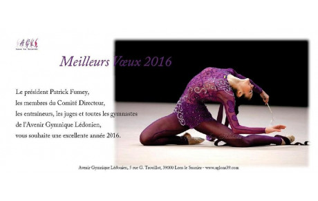 Bonne Année 2016 ! 