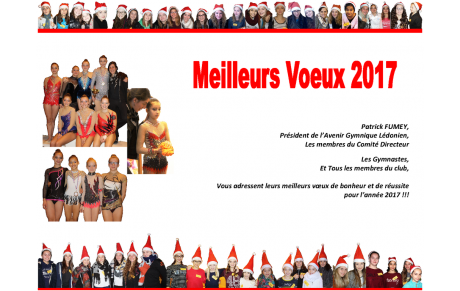 Bonne Année 2017 !