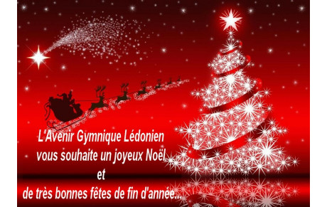 Bonnes Fêtes de fin d'année ! 